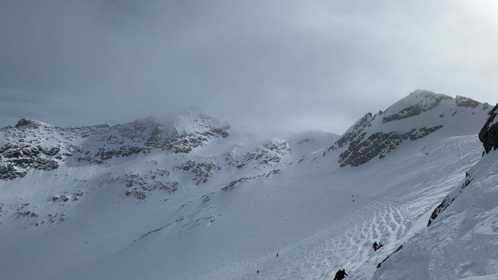 TraiLink at Whistler Blackcomb | Off-Grid Group Tracking from 7th Heaven to the Glades