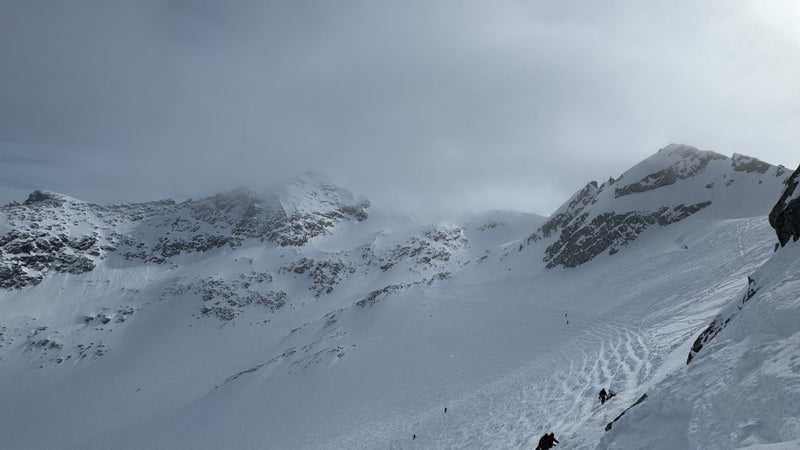 TraiLink at Whistler Blackcomb | Off-Grid Group Tracking from 7th Heaven to the Glades